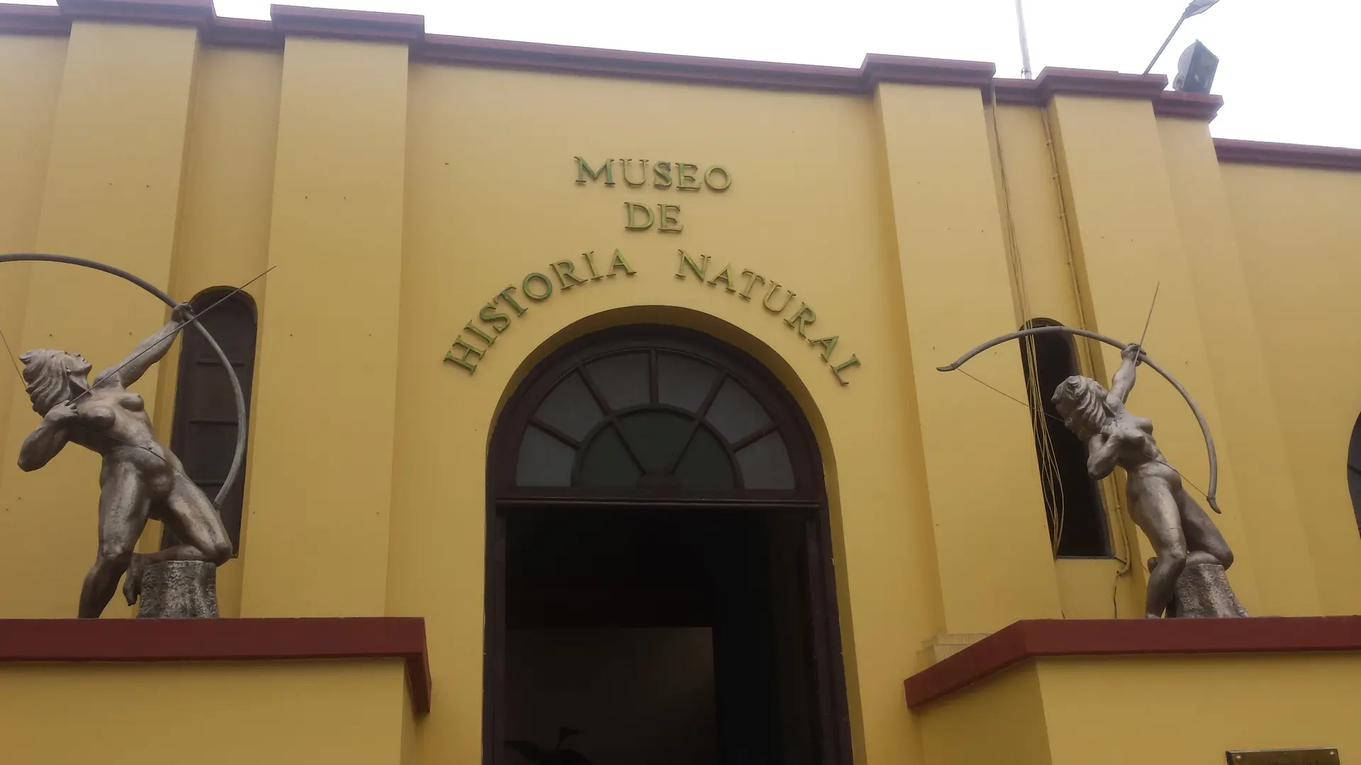 Imagen 2 de Museo de Historia Natural