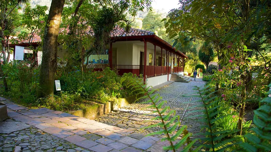 Imagen 2 de Museo Quinta de Bolívar