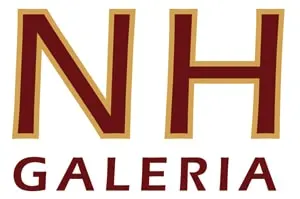 Logo de NH Galería