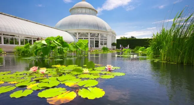 Imagen 1 de New York Botanical Garden
