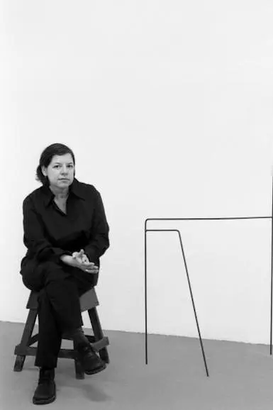 Jac Leirner gana el Premio Wolfgang Hahn