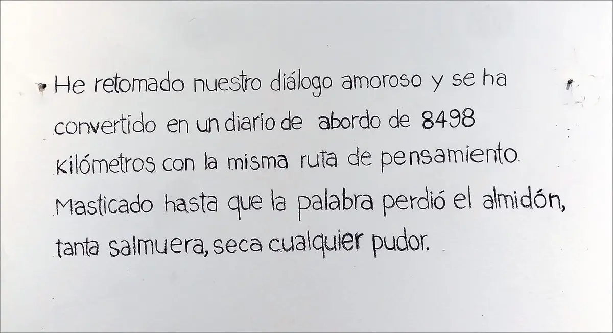 Exposición Individual: Ramsés Larzábal y Doménica Aglialoro — imagen 1