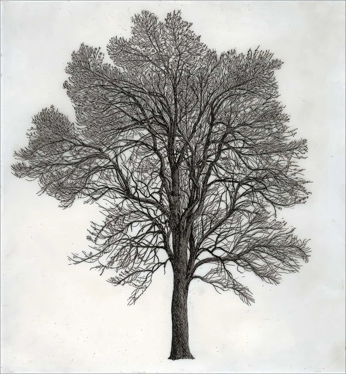 Colectiva: Trees (Árboles) — imagen 9