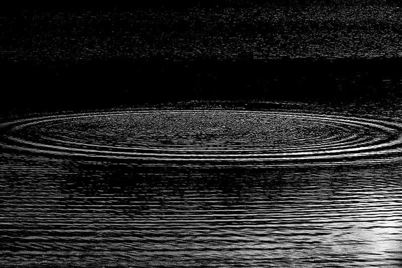 Colectiva: Caribe conceptual — imagen 3