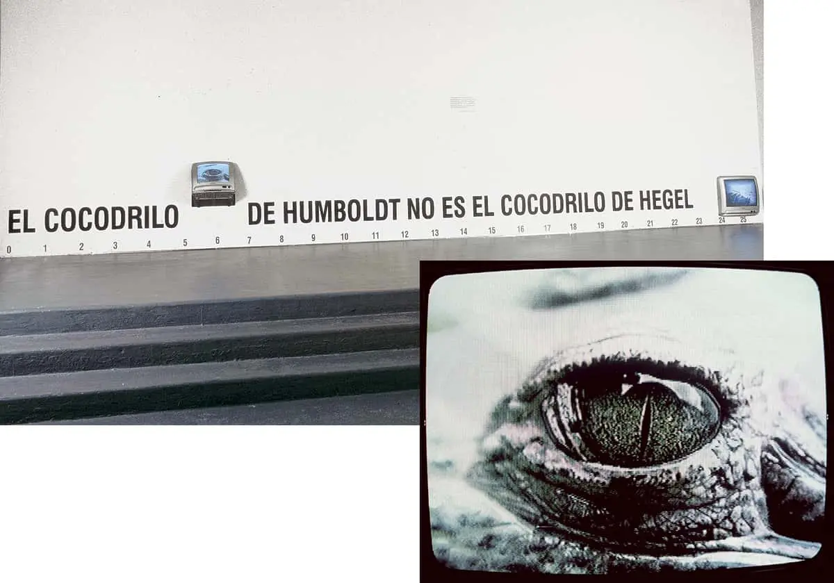 Colectiva: La naturaleza de las cosas: Humboldt, idas y venidas — imagen 2