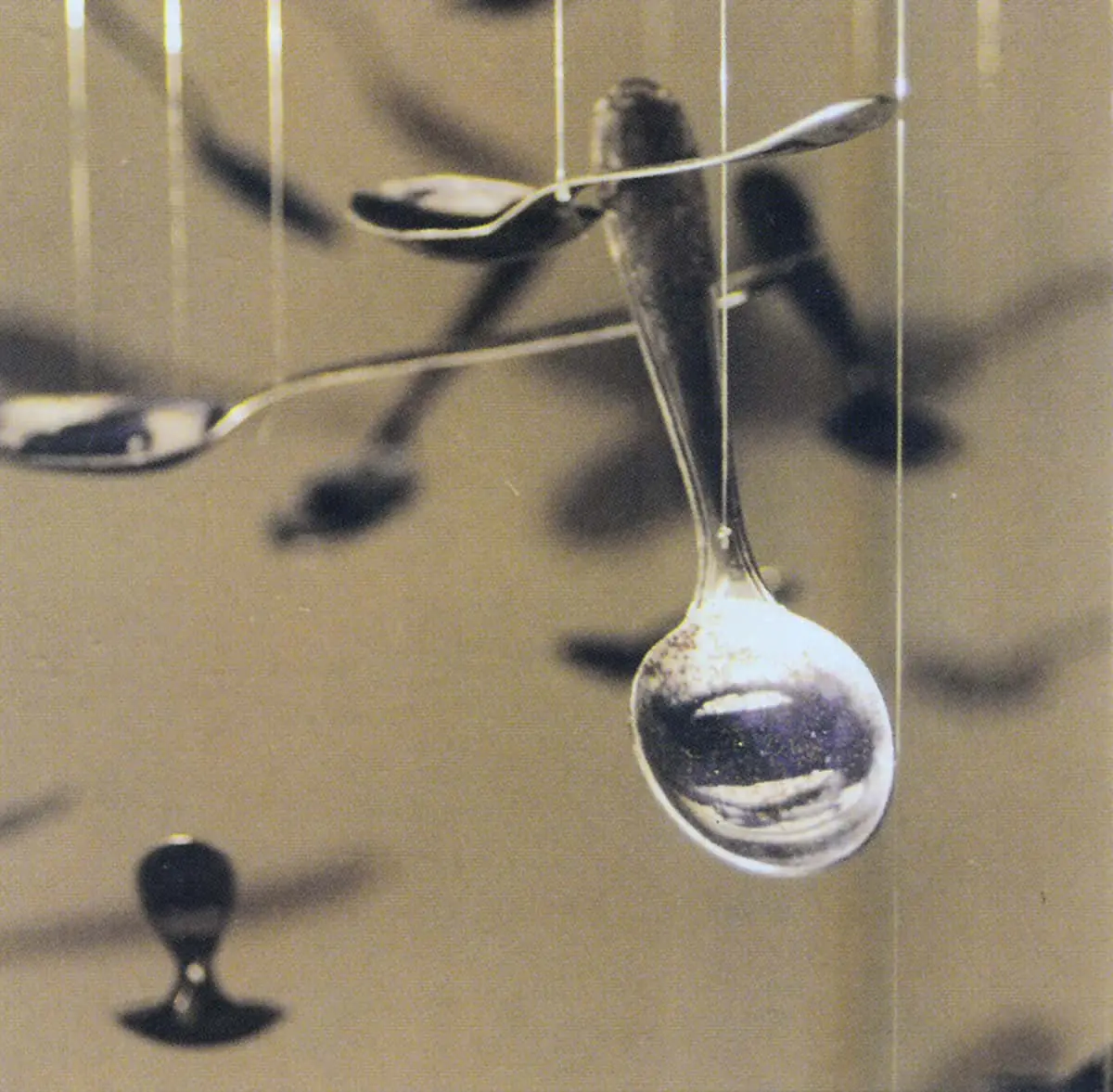 Monografía: Graciela Sacco — imagen 8