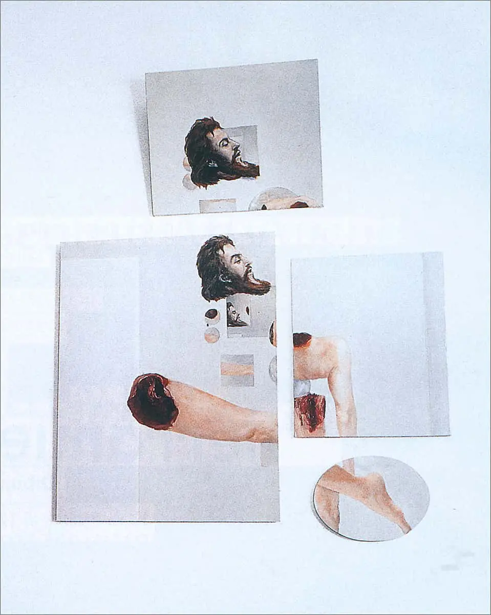 Monografía: Adriana Varejão — imagen 7