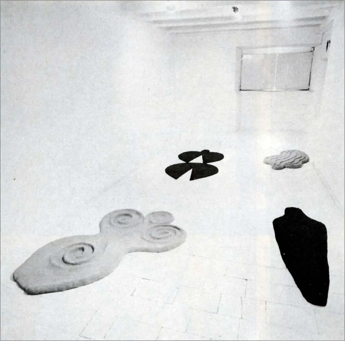 Monografía: Ana Mendieta — imagen 6