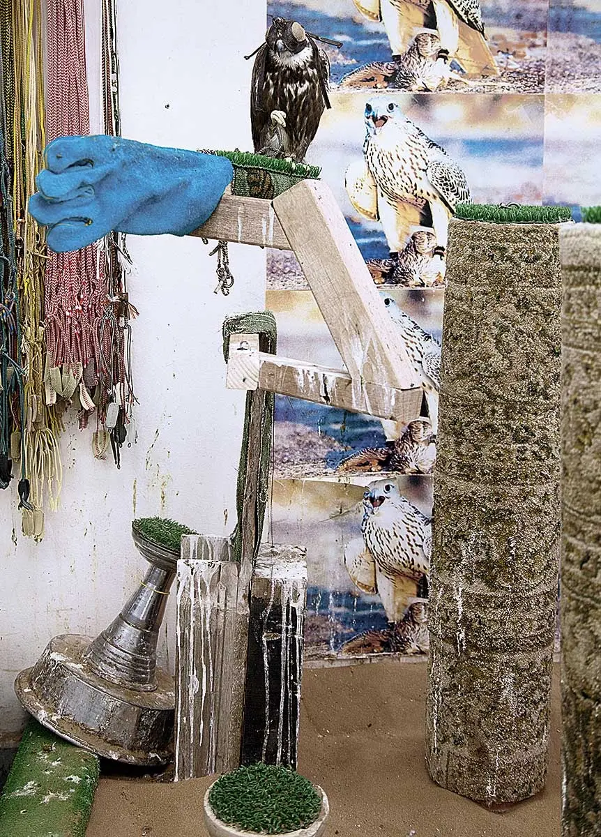 Colectiva: 12 Bienal de Sharjah. El pasado, el presente, lo posible — imagen 3