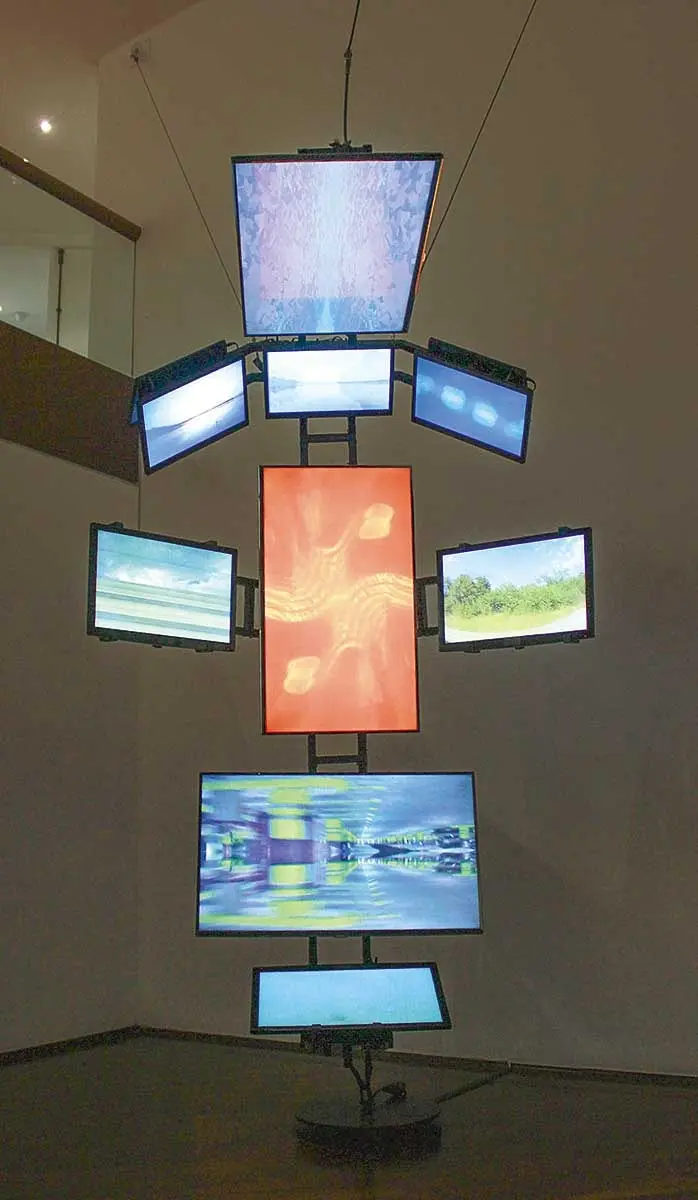 Colectiva: Electro_estética ambiental.ve. Videoarte, artes electrónicas y medio ambiente — imagen 4