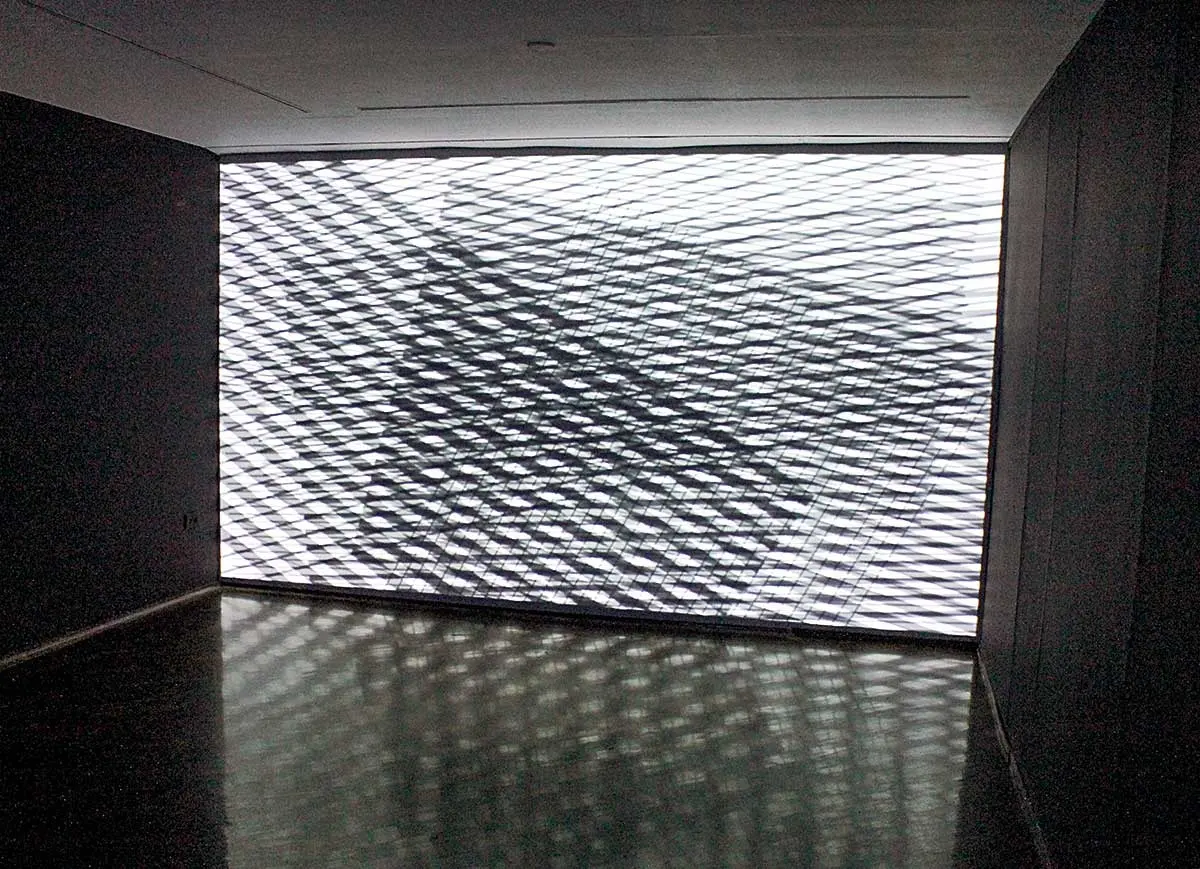 Colectiva: Electro_estética ambiental.ve. Videoarte, artes electrónicas y medio ambiente — imagen 2