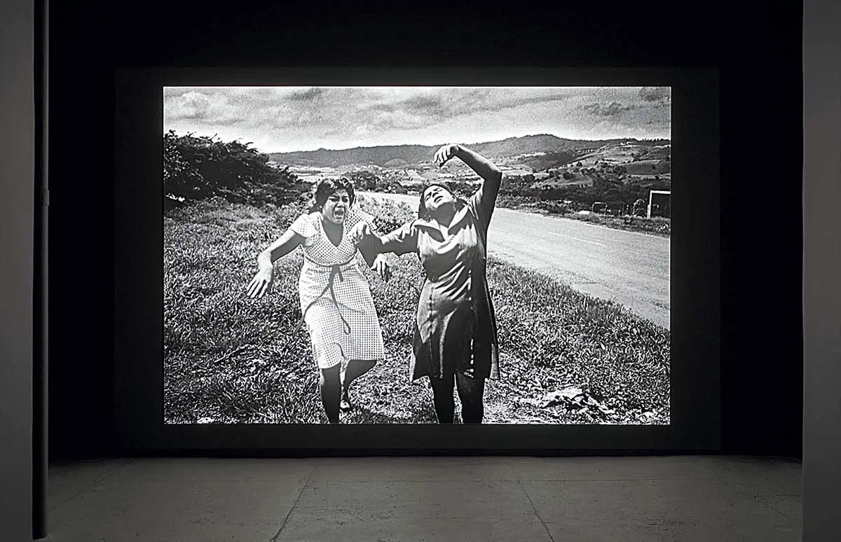 Exposición Individual: Alfredo Jaar — imagen 1