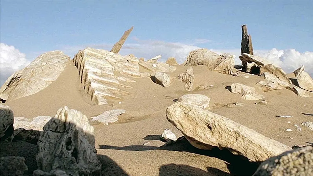Monografía: El carácter documental del arte en la obra de Andrés Burbano — imagen 4