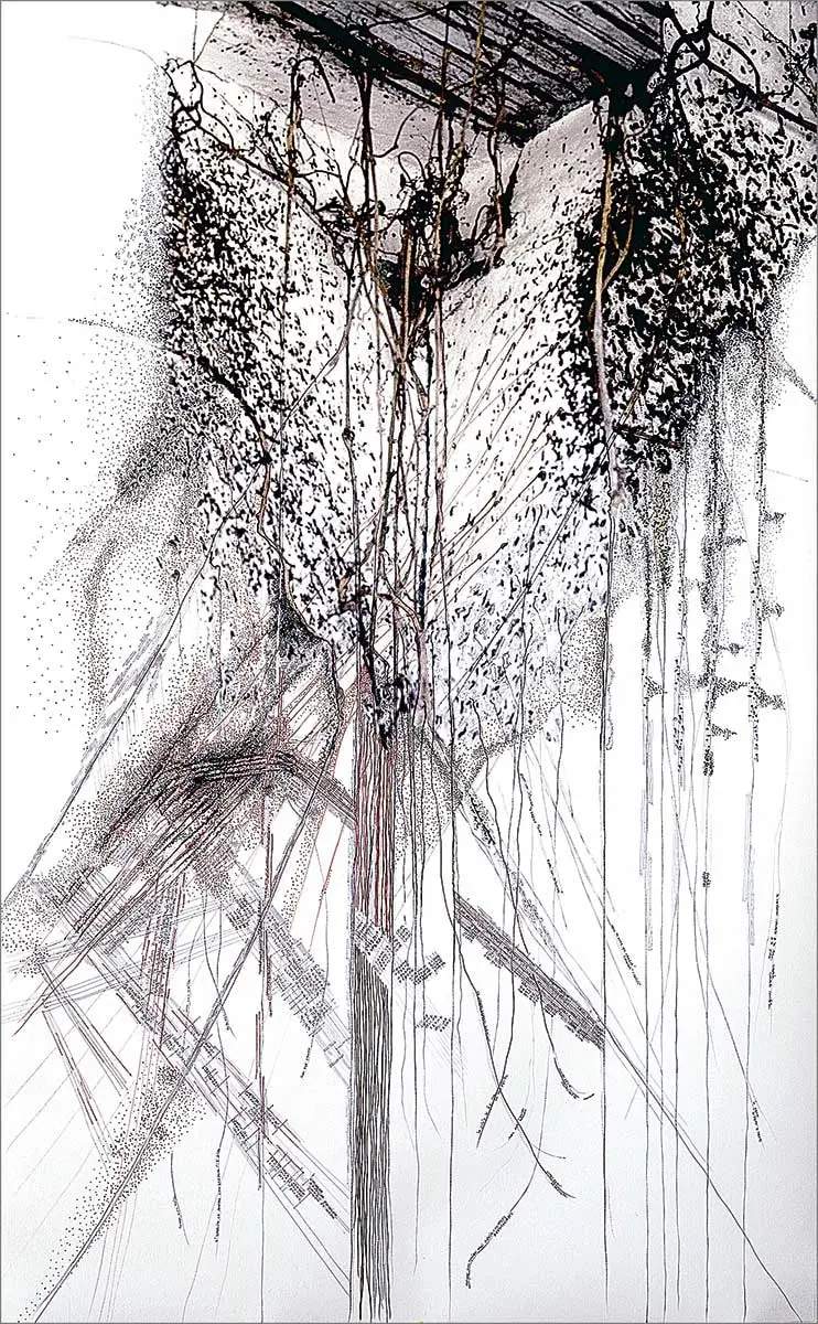 Exposición Individual: Clemencia Echeverri — imagen 1
