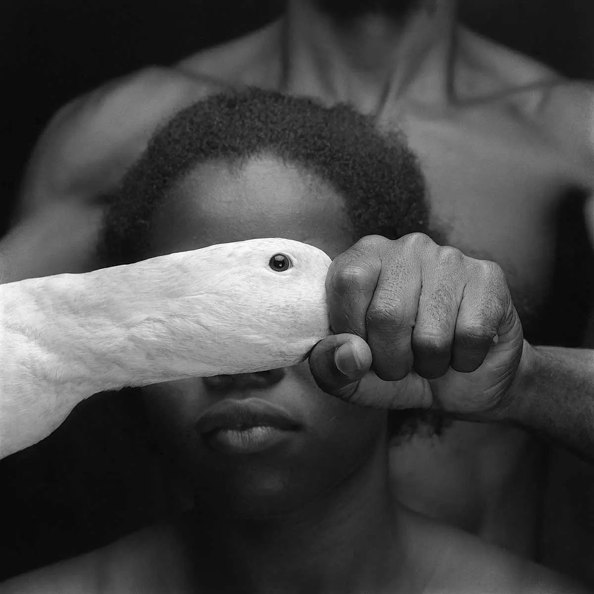Monografía: PHotoEspaña 2015 — imagen 14