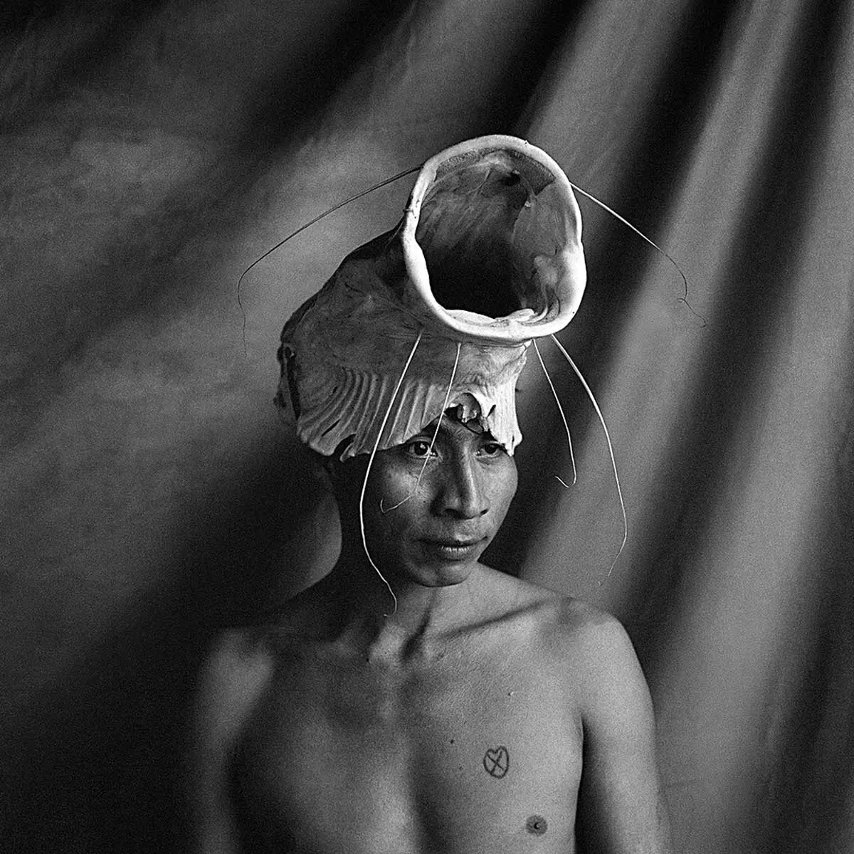 Monografía: PHotoEspaña 2015 — imagen 9