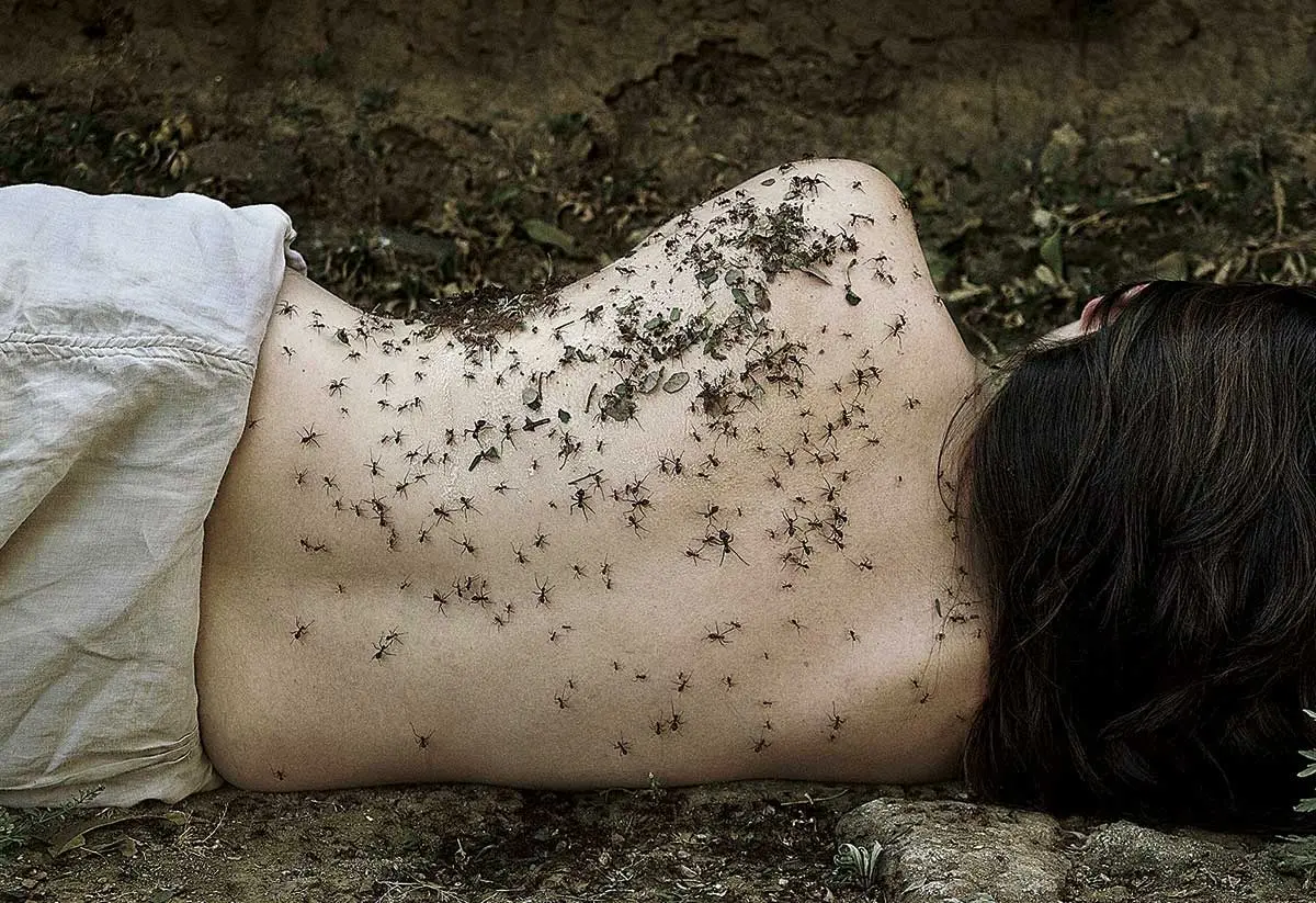Monografía: PHotoEspaña 2015 — imagen 3