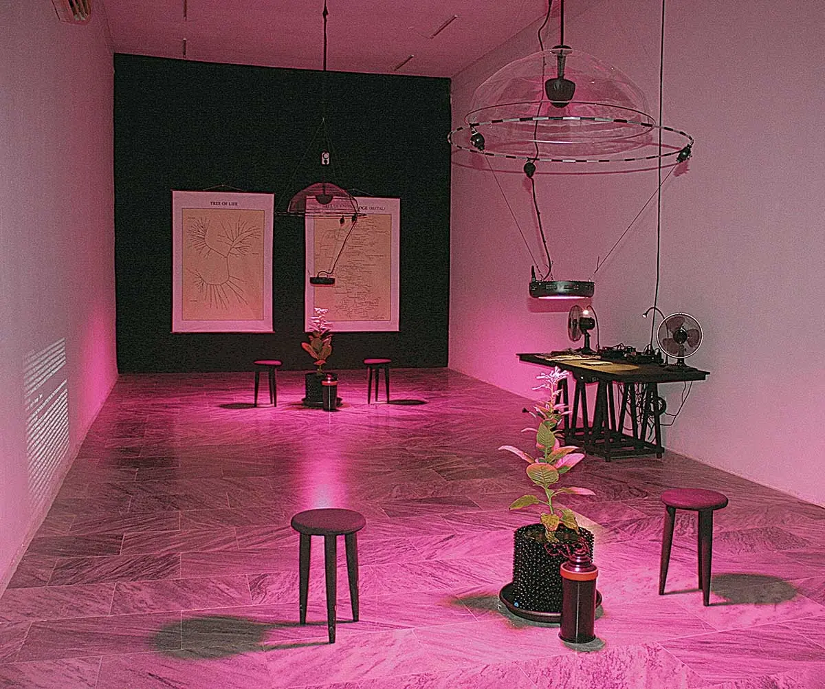 Bienal: Bienal de La Habana — imagen 3