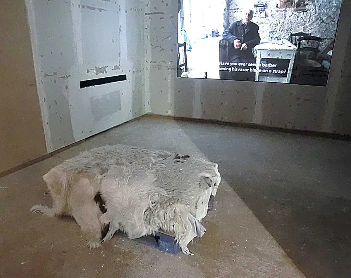 Bienal: Bienal de Venecia — imagen 2