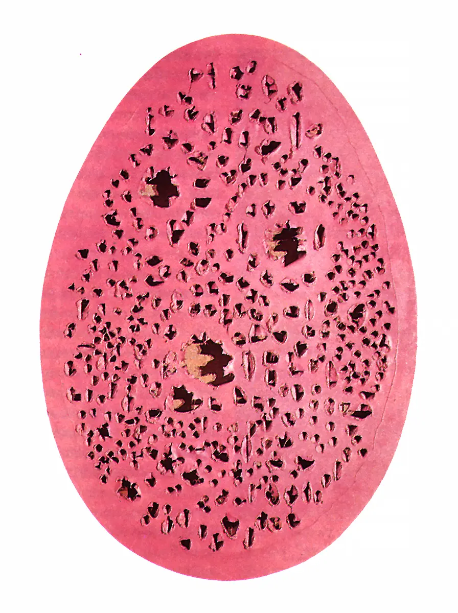 Monografía: Lucio Fontana — imagen 7