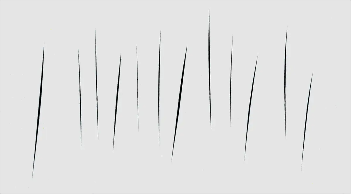 Monografía: Lucio Fontana — imagen 1