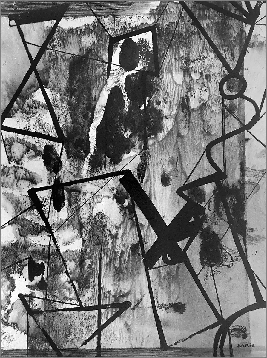 Monografía: Sandú Darié — imagen 2