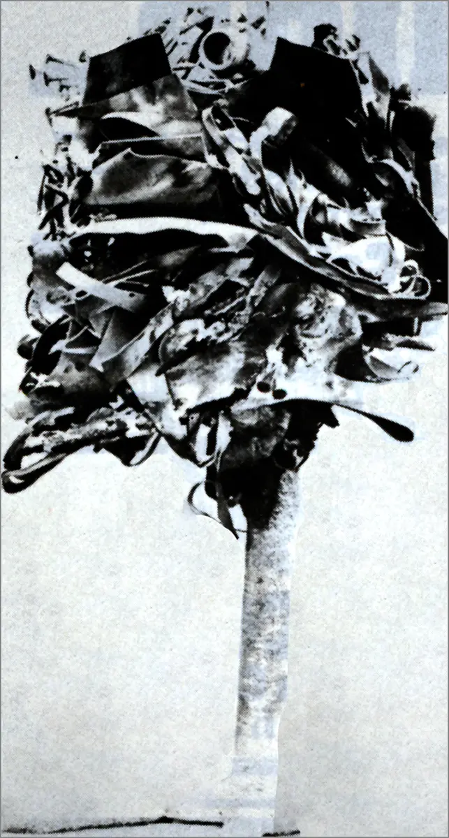 Monografía: Feliza Bursztyn — imagen 1