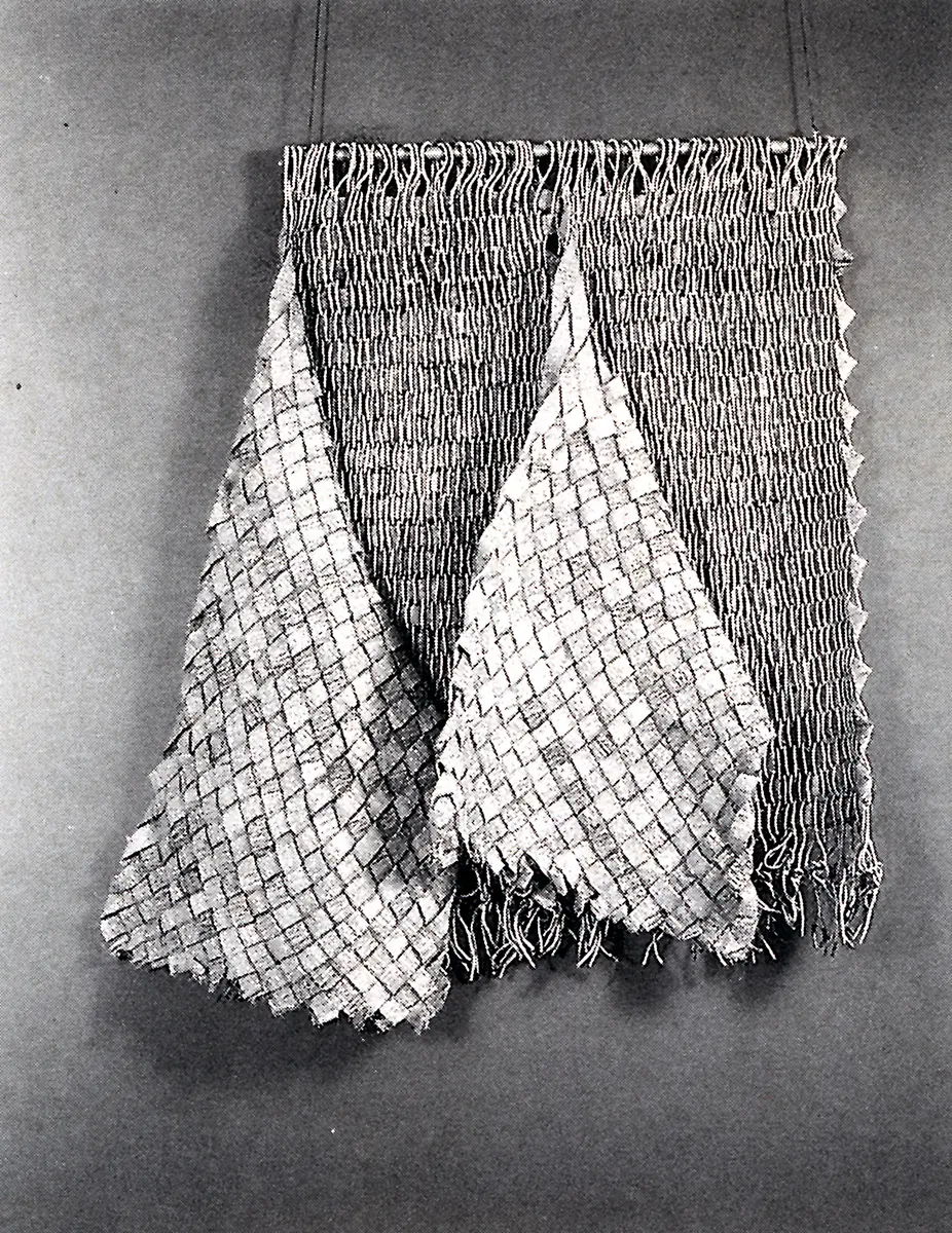 Monografía: Olga de Amaral — imagen 5
