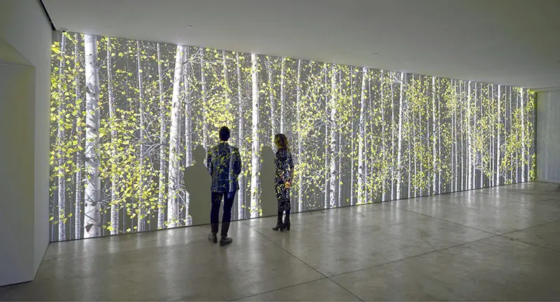 La Fundación Margulies anuncia una importante donación de arte contemporáneo