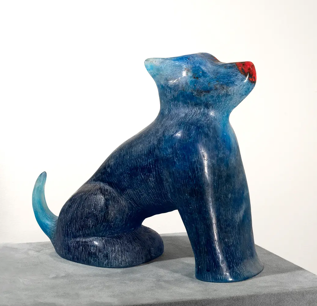 Lobo azul, 2019