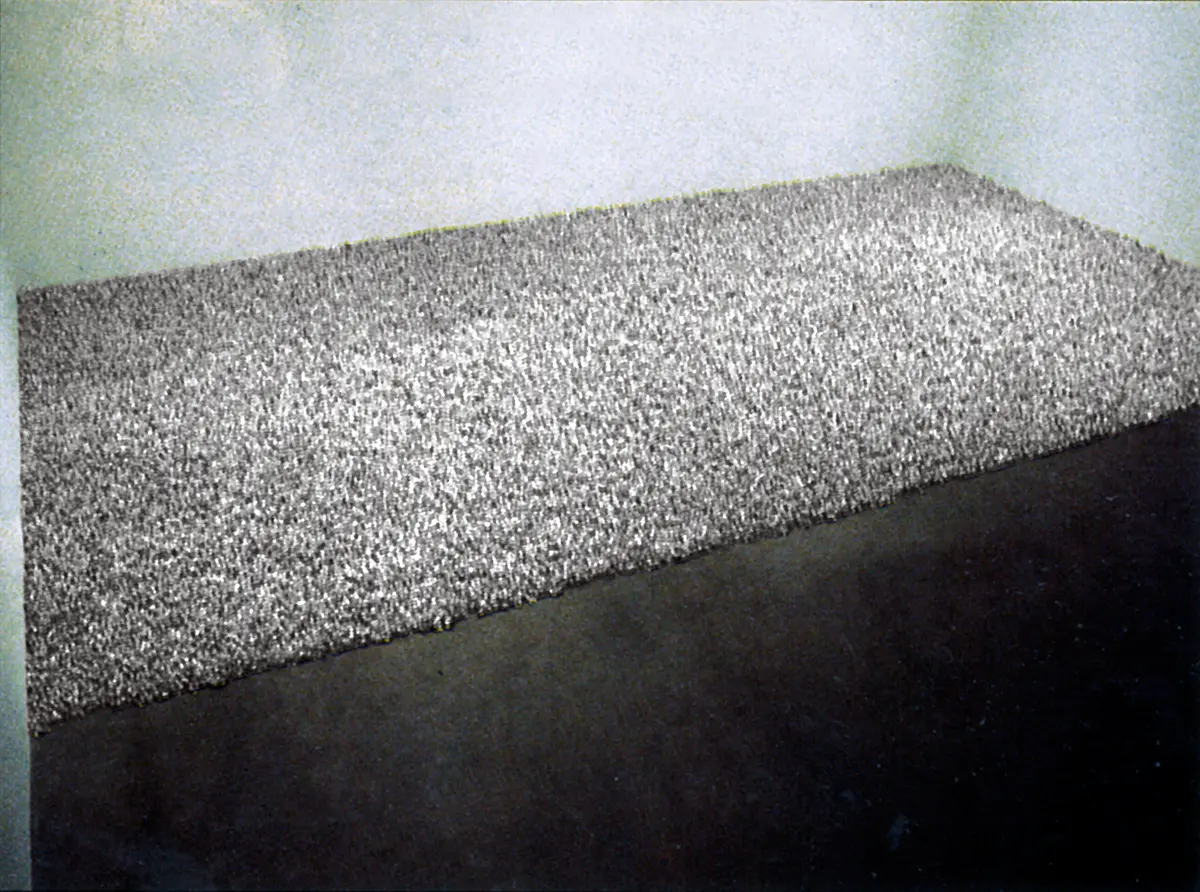 Monografía: Félix González-Torres — imagen 7