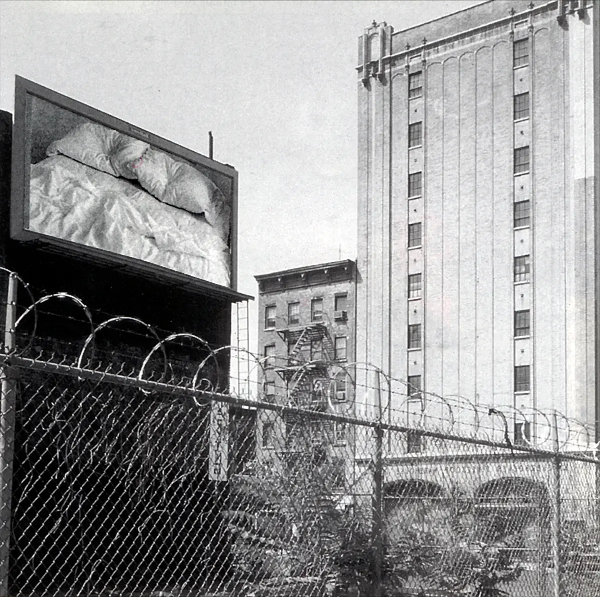 Monografía: Félix González-Torres — imagen 3