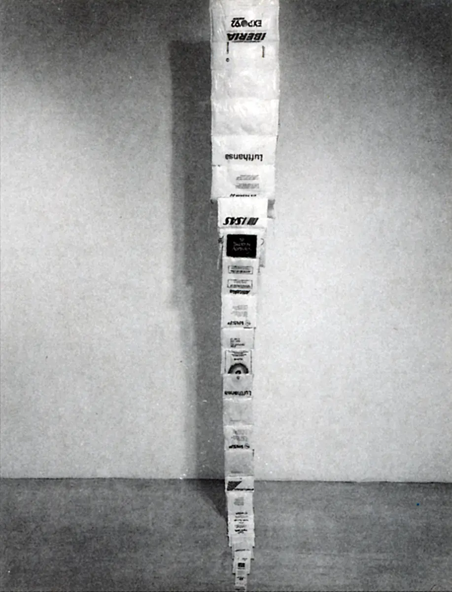 Monografía: Jac Leirner — imagen 6