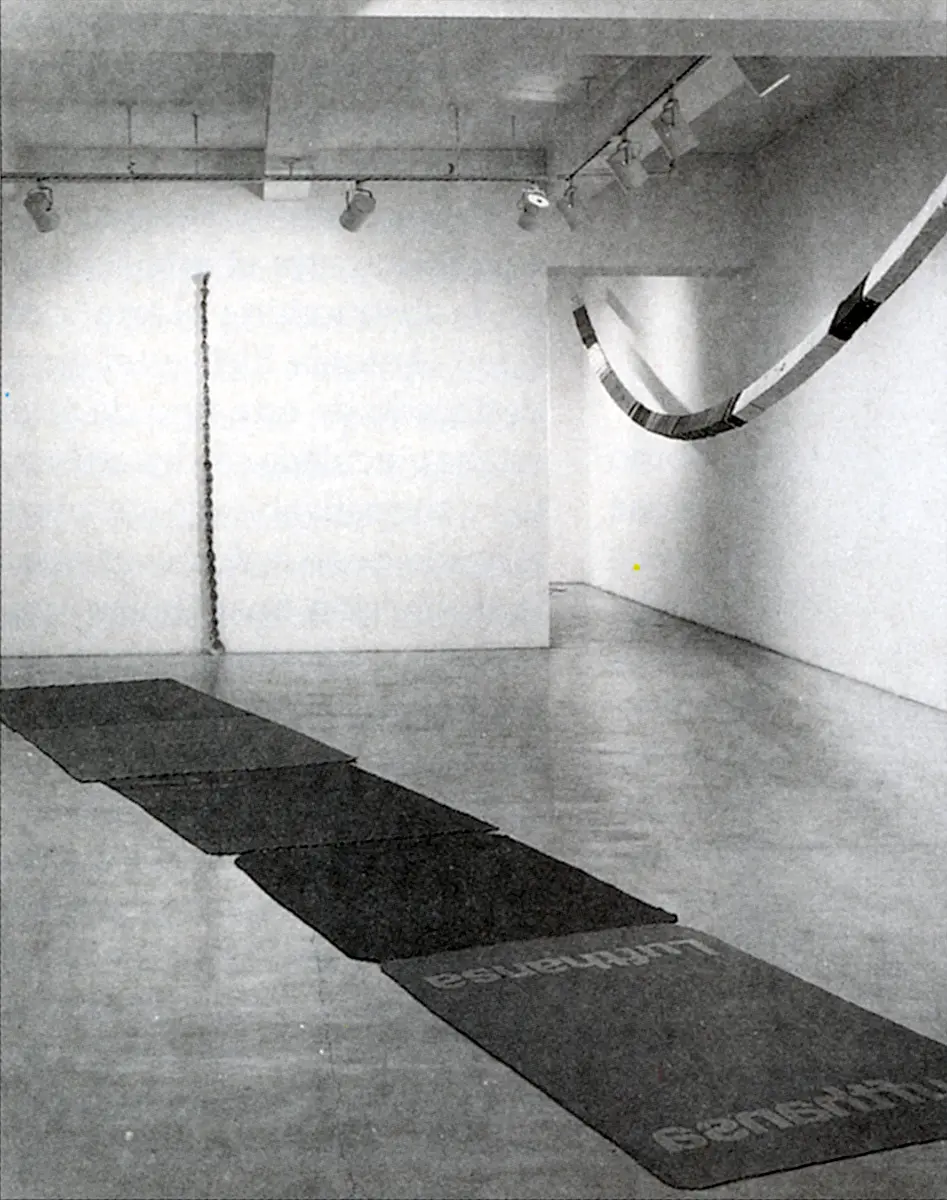 Monografía: Jac Leirner — imagen 5