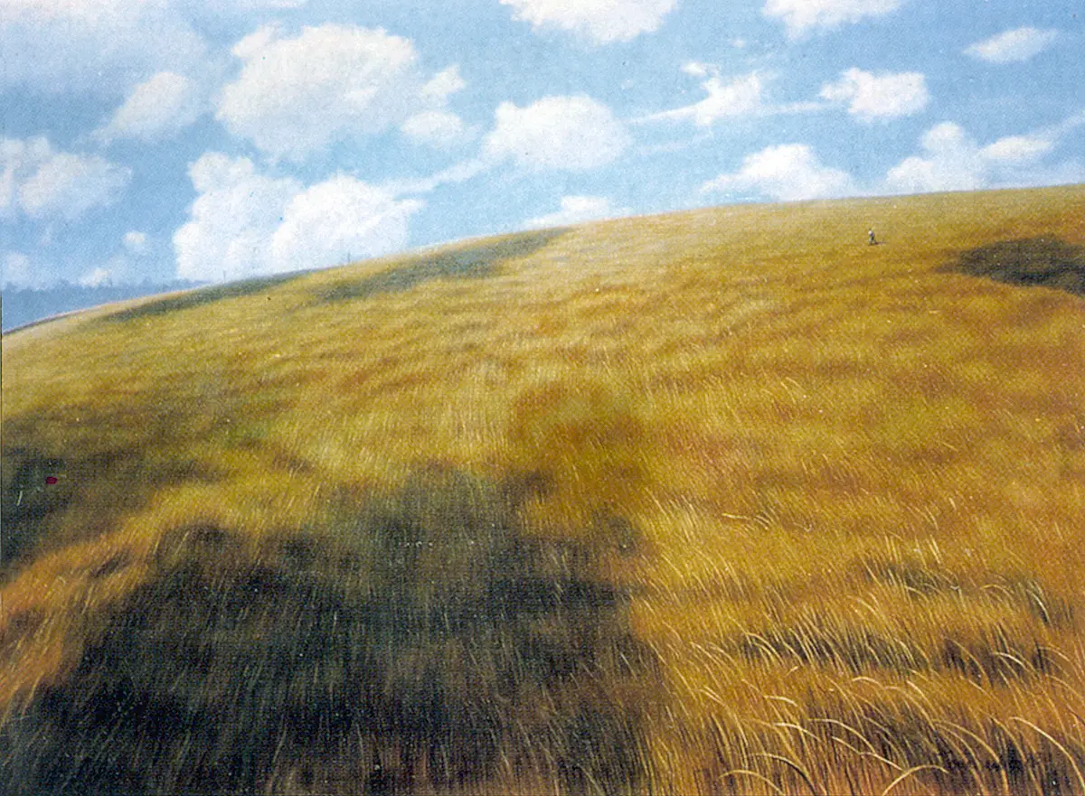 Monografía: Tomás Sánchez — imagen 7