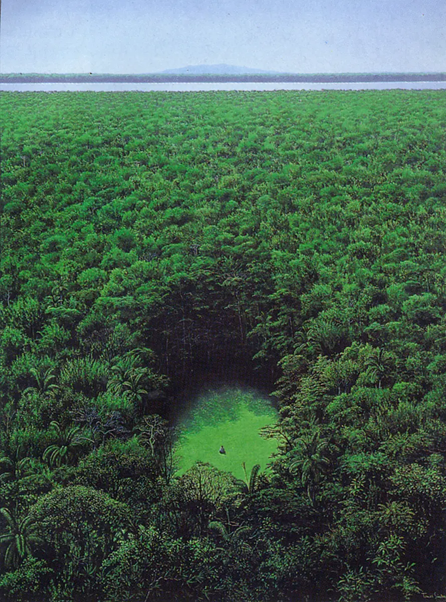 Monografía: Tomás Sánchez — imagen 6