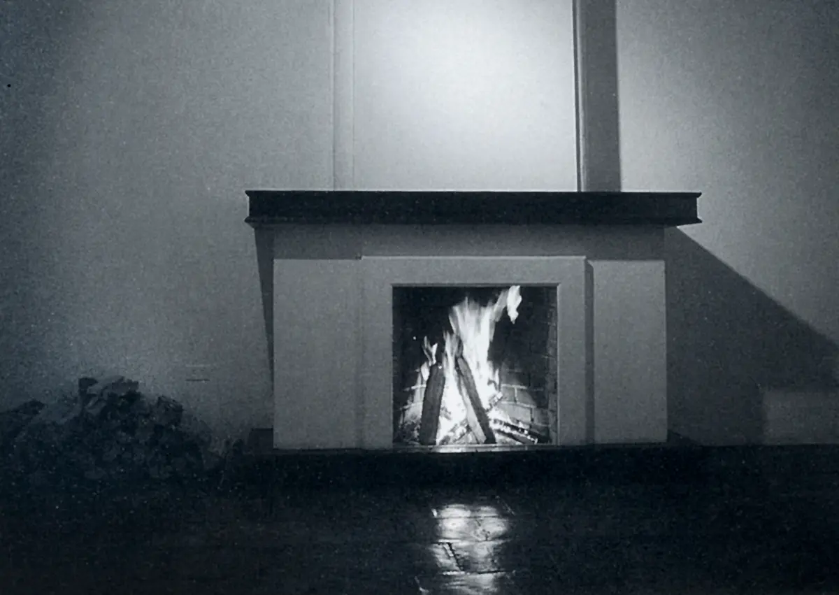 Monografía: Darío Escobar — imagen 5