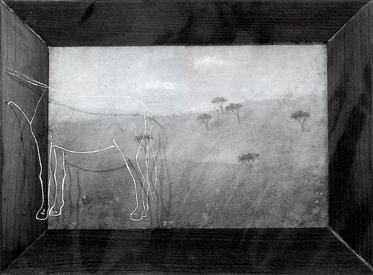 Monografía: Francis Alÿs — imagen 3