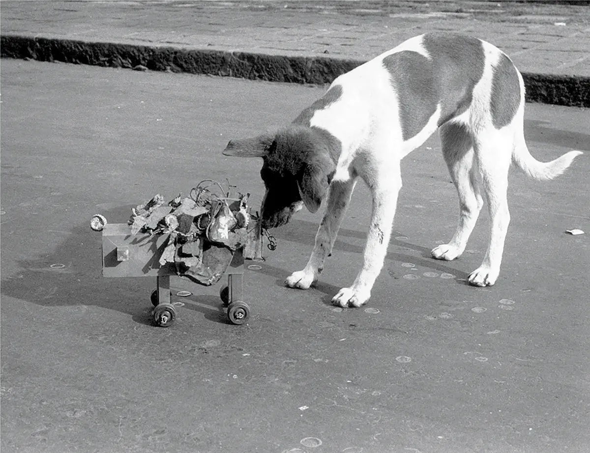 Monografía: Francis Alÿs — imagen 2