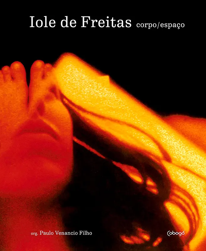 Iole de Freitas corpo/espaço (cuerpo/espacio)