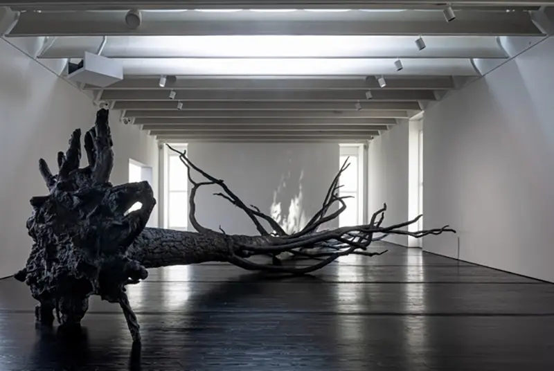 Allora y Calzadilla: Specters of Noon en la Colección Menil