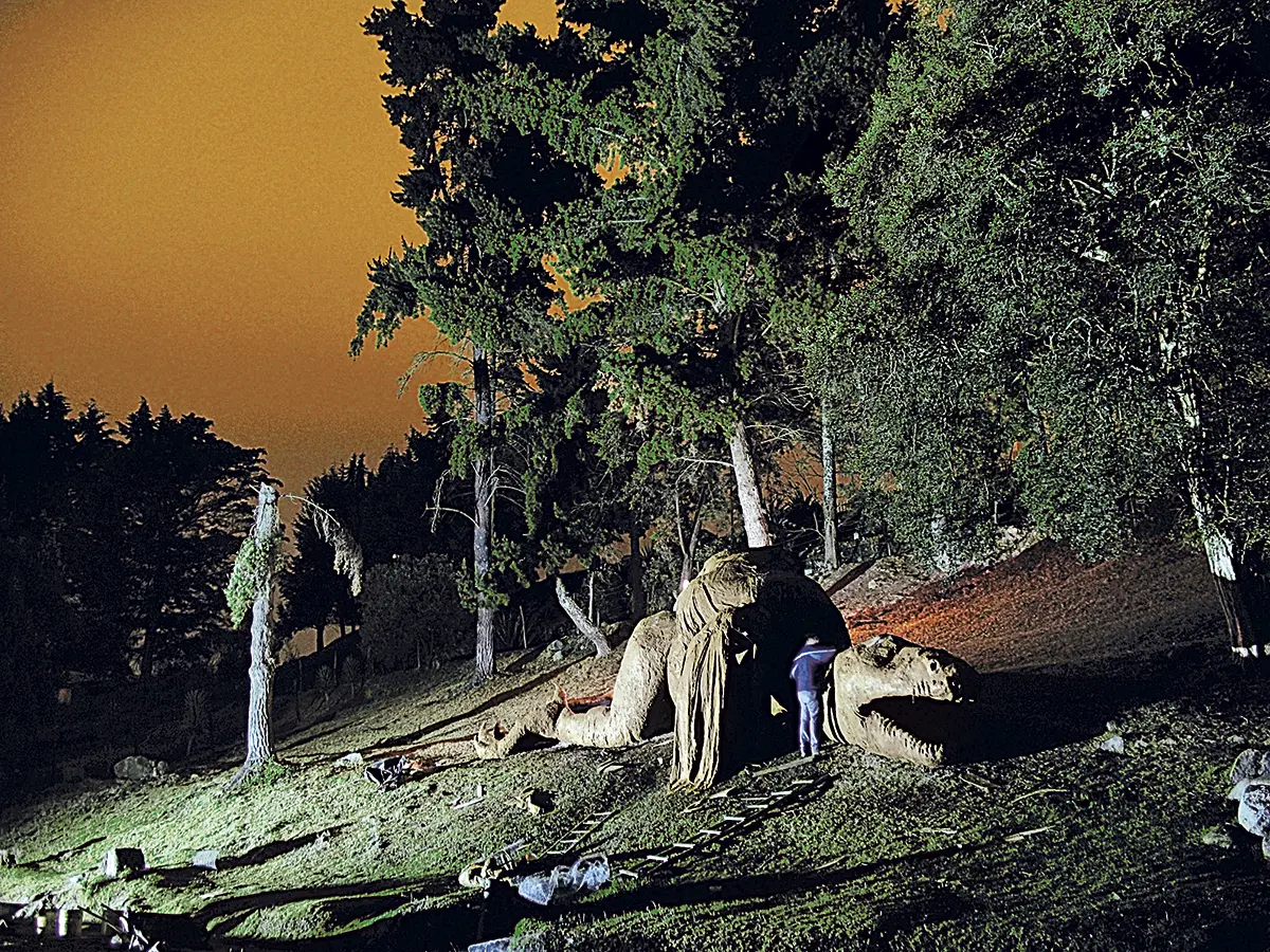 Monografía: Adrián Villar Rojas — imagen 8