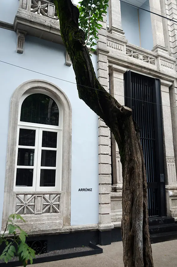Arróniz Arte Contemporáneo