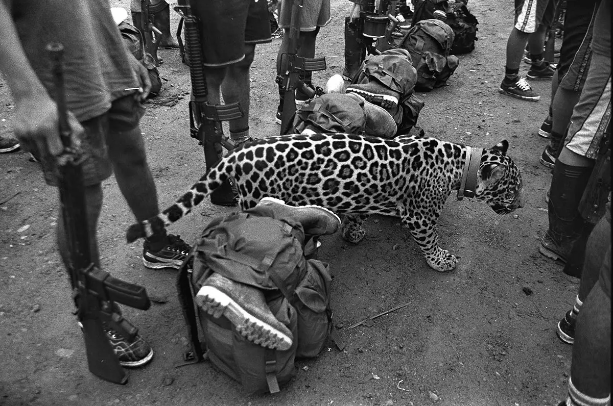 Monografía: Jesús Abad Colorado — imagen 3