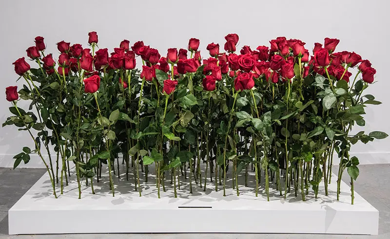 Glenda León expone en el Museo Extremeño e Iberoamericano de Arte Contemporáneo