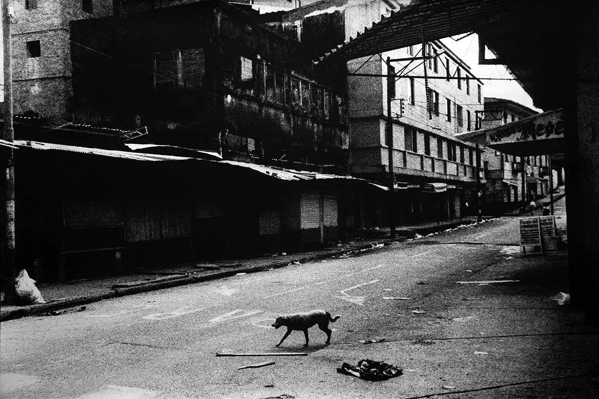 Monografía: Fernell Franco: “Cali claroscuro” — imagen 2