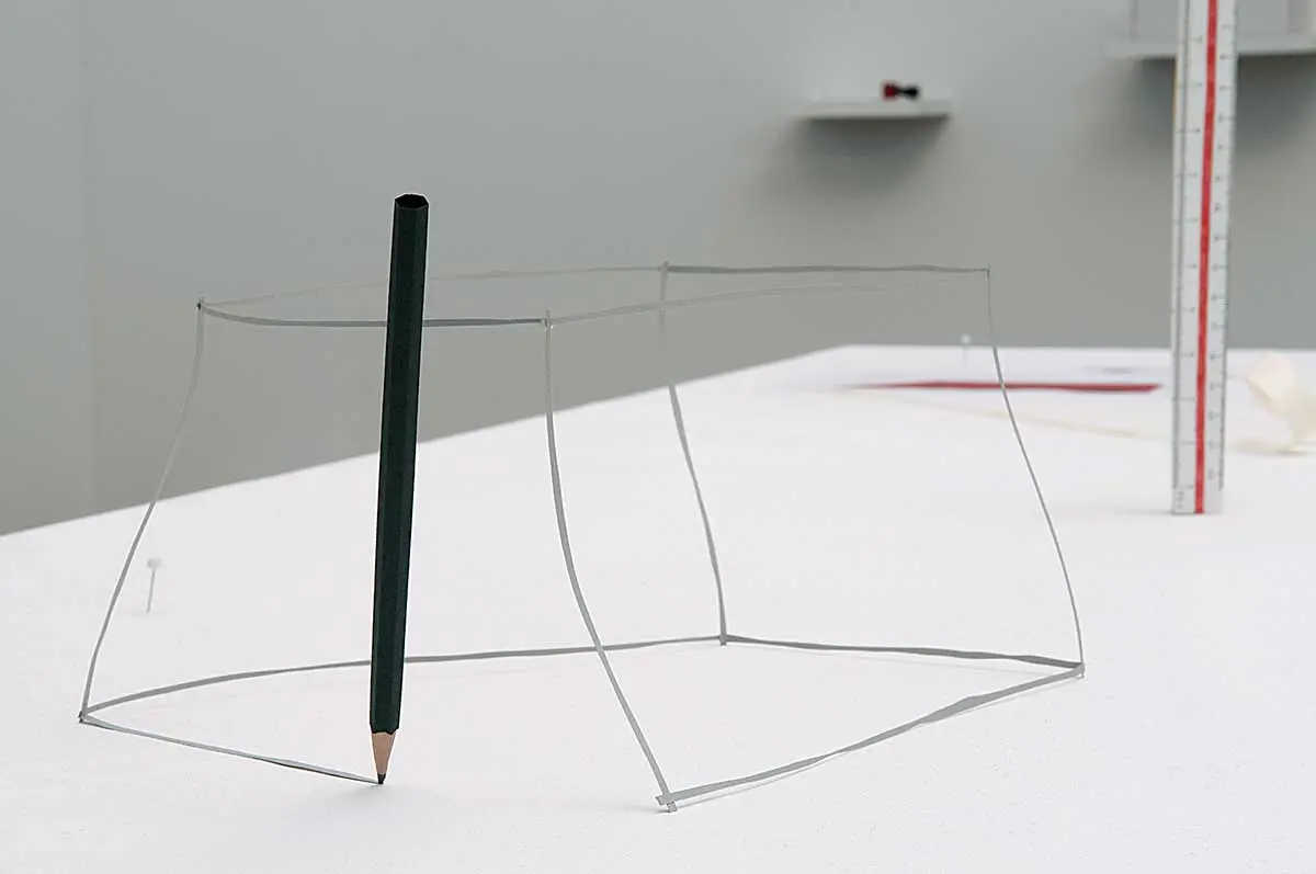 Monografía: Luisa Strina — imagen 4