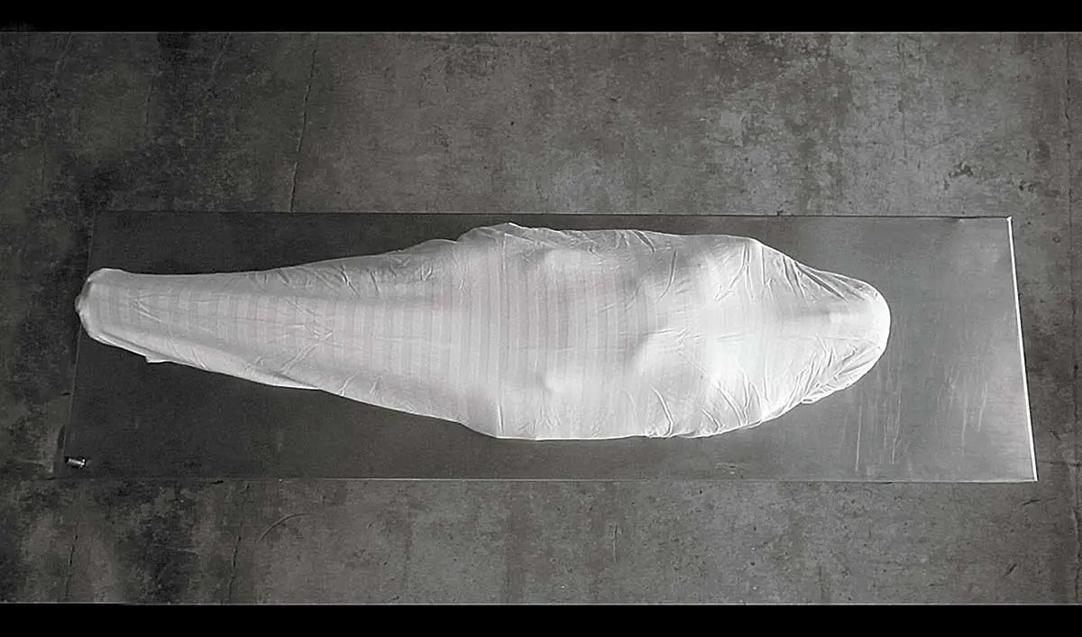 Bienal: COSMOLUZ — imagen 3