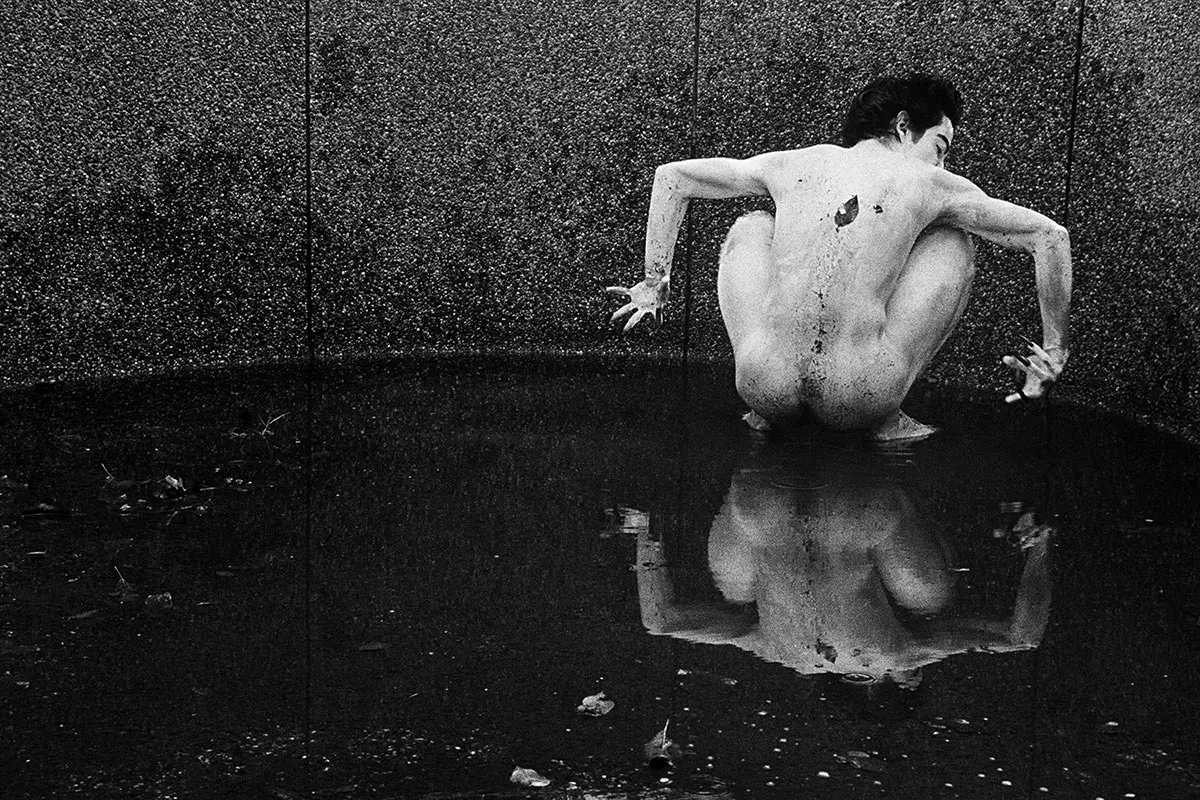 Monografía: Carlos Motta — imagen 4