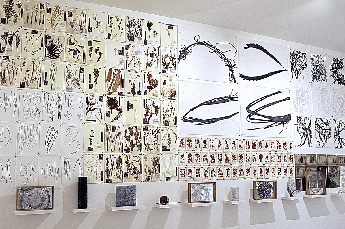 Exposición Individual: Jan Hendrix — imagen 1